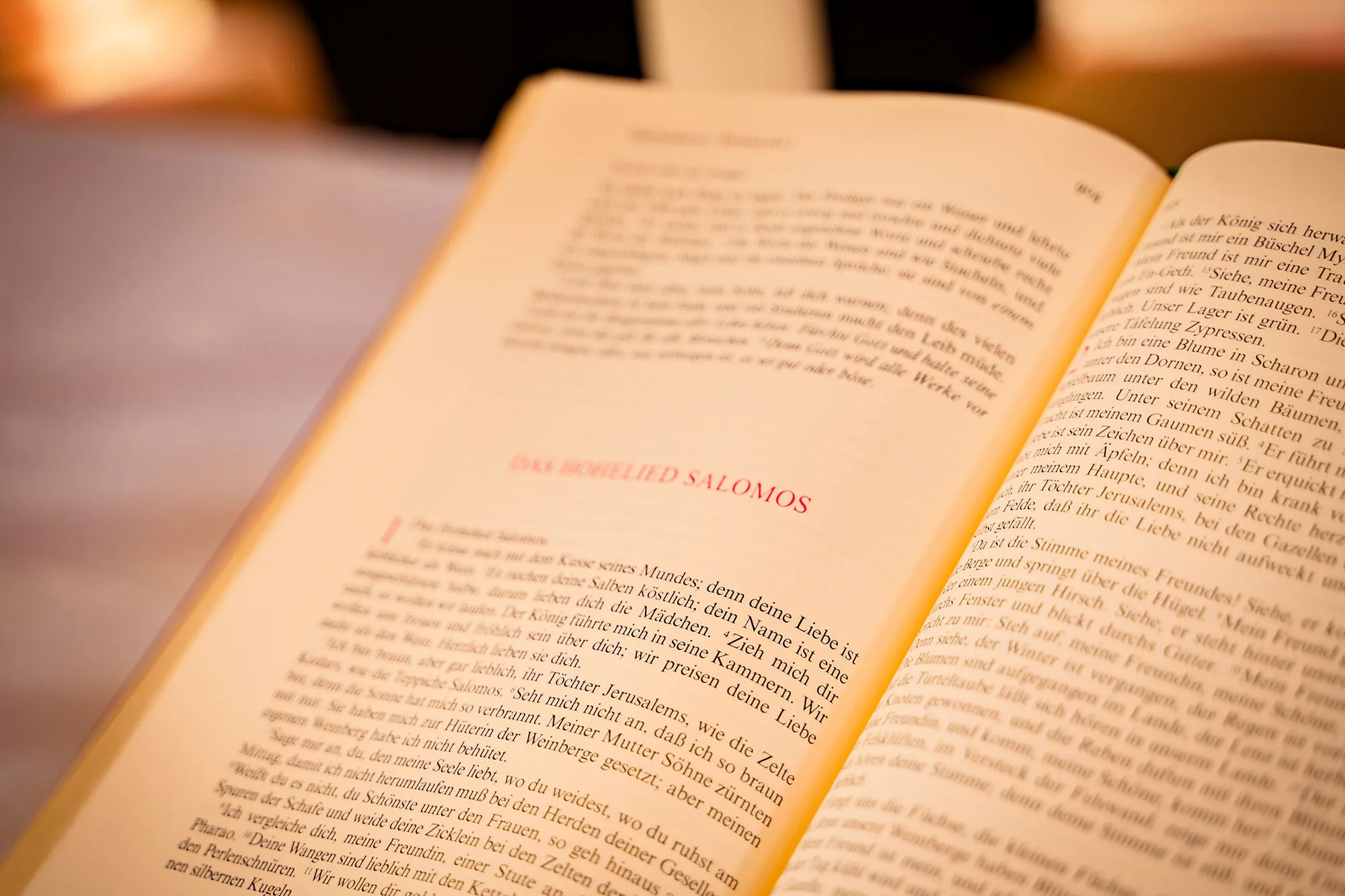 Aufgeschlagene Bibel